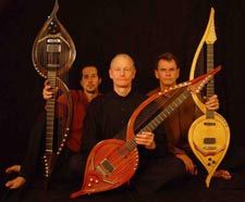 Electric Harp Guitar Group